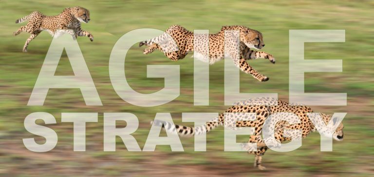Agile Strategy article cheetah image